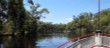 Murray River-SwanHill