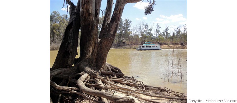 Murray River-Echuca