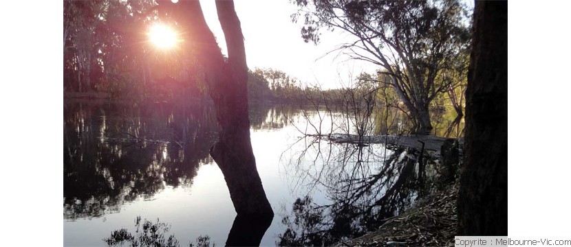 Sunset on the Murray river
