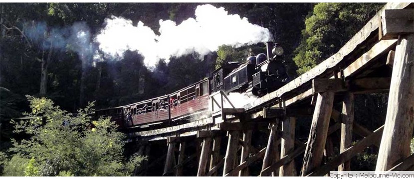 PuffingBilly train-Dandenongs
